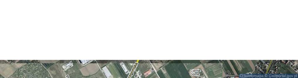 Zdjęcie satelitarne Strzegomska ul.