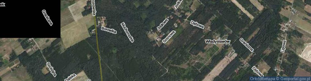 Zdjęcie satelitarne Świerkowa ul.