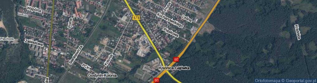 Zdjęcie satelitarne Święcickiego Mieczysława ul.