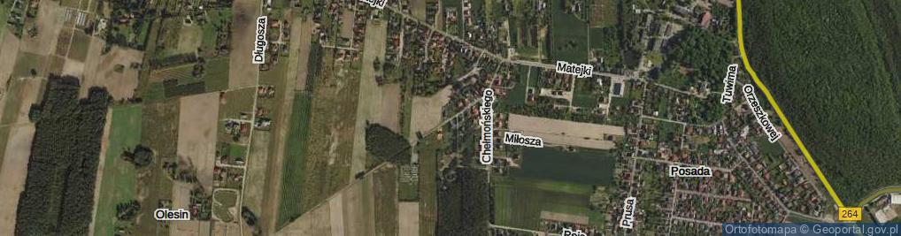 Zdjęcie satelitarne św. Alberta ul.