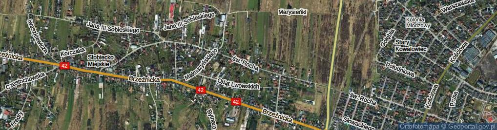 Zdjęcie satelitarne św. Rocha ul.