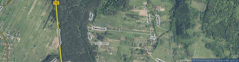 Zdjęcie satelitarne Świniuszki ul.