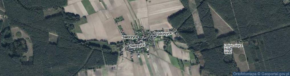 Zdjęcie satelitarne Sworzyce ul.