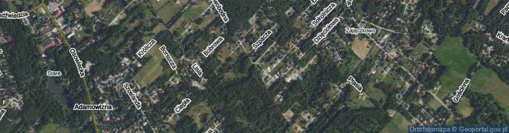 Zdjęcie satelitarne Swobodna ul.