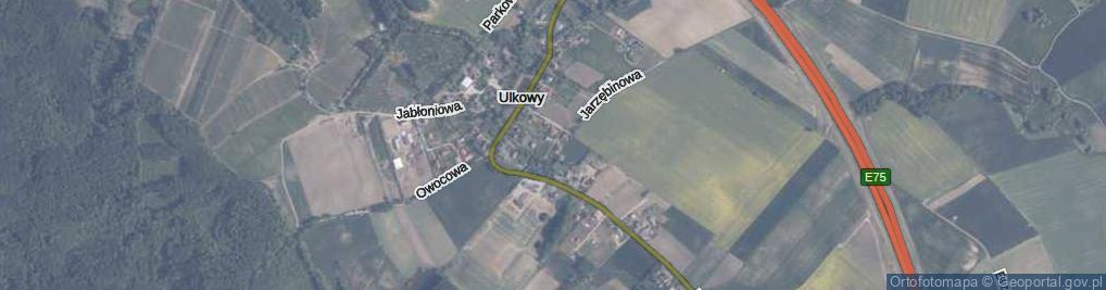 Zdjęcie satelitarne Świerkowa ul.