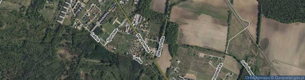 Zdjęcie satelitarne św. Macieja ul.