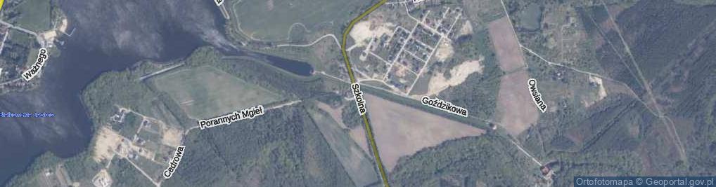 Zdjęcie satelitarne Szkolna ul.