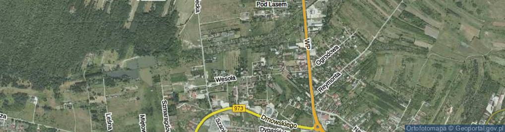 Zdjęcie satelitarne Szarych Szeregów ul.