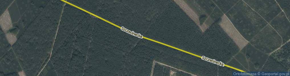Zdjęcie satelitarne Szczecinecka ul.