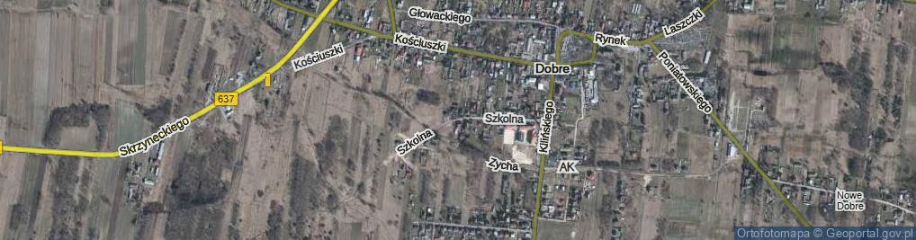 Zdjęcie satelitarne Szkolna ul.