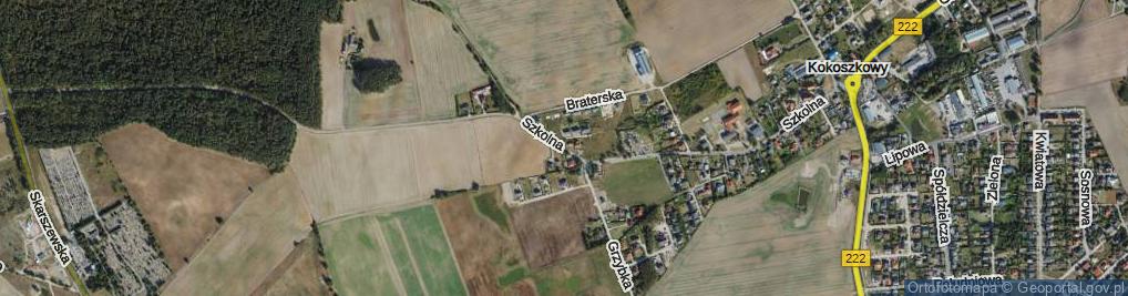 Zdjęcie satelitarne Szkolna ul.