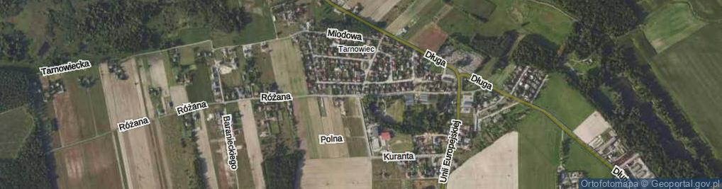 Zdjęcie satelitarne Szkolna ul.
