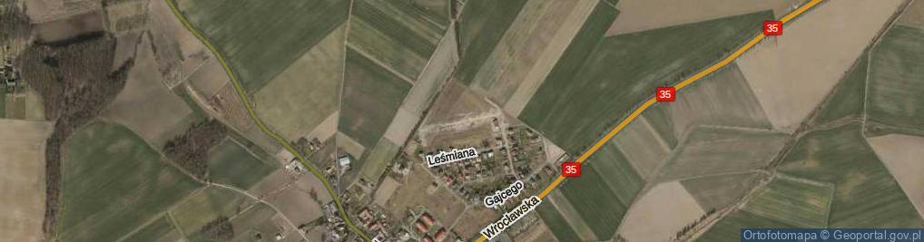 Zdjęcie satelitarne Szymborskiej Wisławy ul.