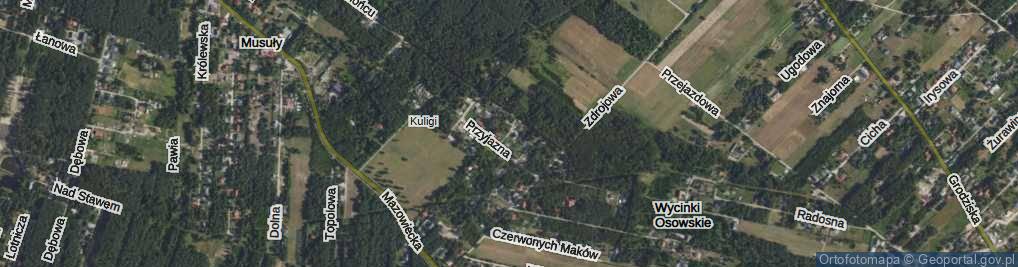 Zdjęcie satelitarne Szumiących Traw ul.