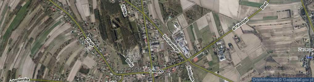 Zdjęcie satelitarne Szkolna ul.