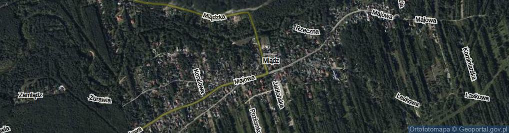 Zdjęcie satelitarne Szyszkowa ul.