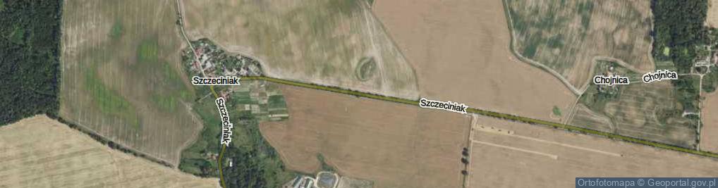 Zdjęcie satelitarne Szczeciniak ul.