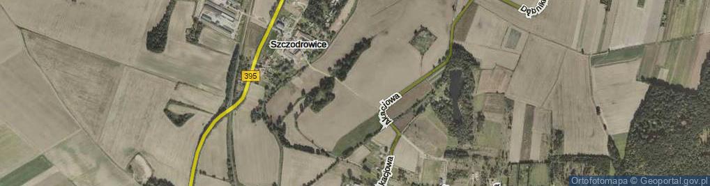 Zdjęcie satelitarne Szczodrowice ul.