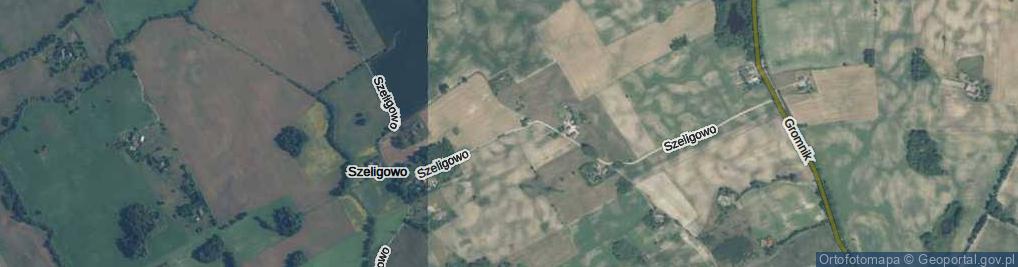 Zdjęcie satelitarne Szeligowo ul.