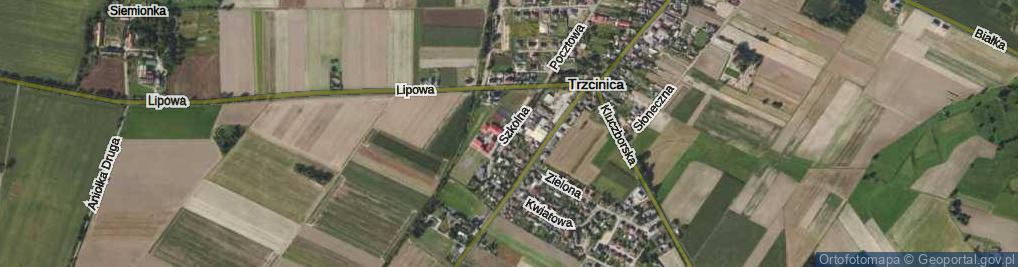 Zdjęcie satelitarne Szkolna ul.