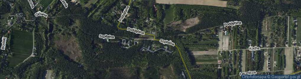 Zdjęcie satelitarne Szpitalna ul.