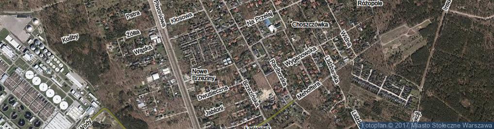 Zdjęcie satelitarne Szamotulska ul.