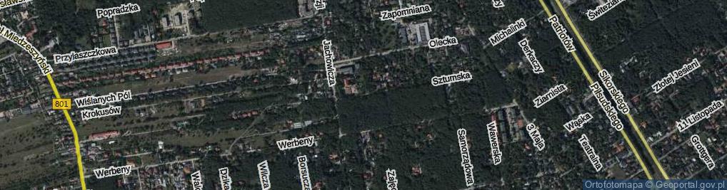 Zdjęcie satelitarne Sztumska ul.