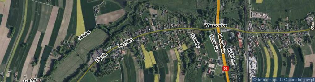 Zdjęcie satelitarne Szczygłów ul.