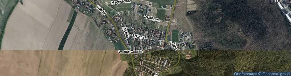 Zdjęcie satelitarne Szkolna ul.