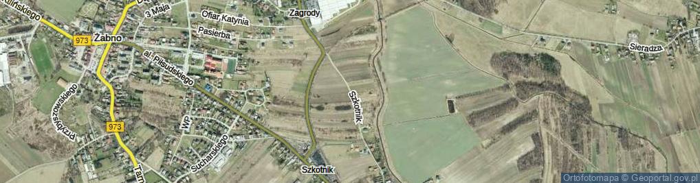 Zdjęcie satelitarne Szkotnik ul.
