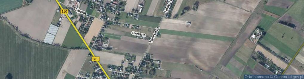 Zdjęcie satelitarne Tarnowska ul.