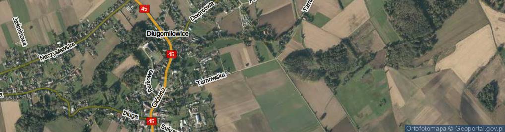 Zdjęcie satelitarne Tarnowska ul.