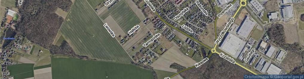 Zdjęcie satelitarne Tarnopolska ul.