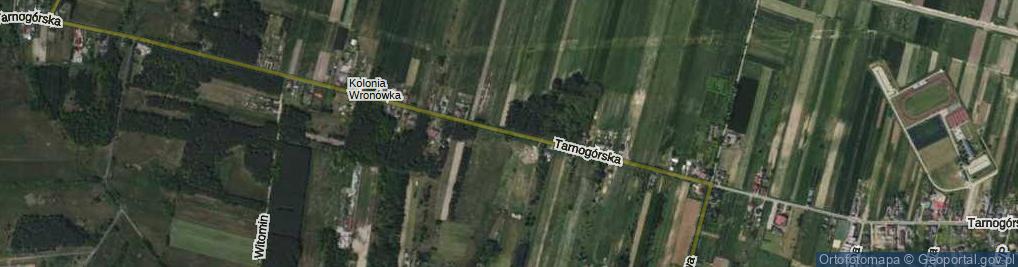 Zdjęcie satelitarne Tarnogórska ul.