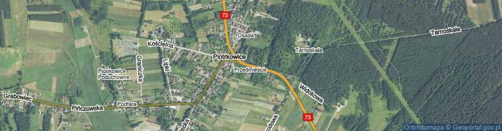 Zdjęcie satelitarne Tarnowskich ul.