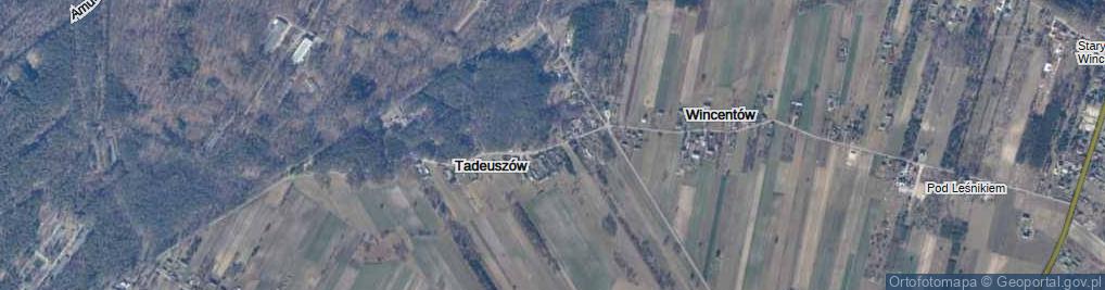 Zdjęcie satelitarne Tadeuszów ul.