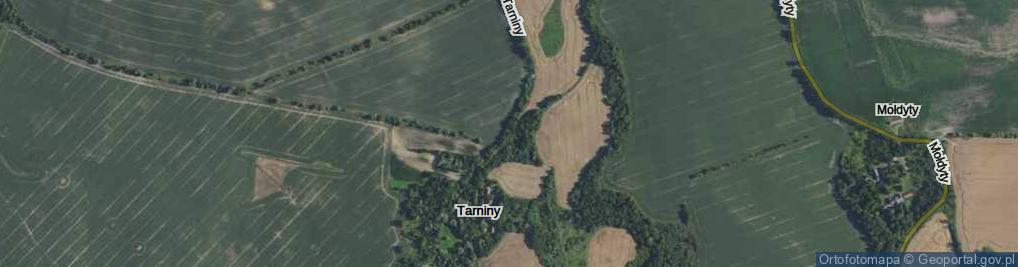 Zdjęcie satelitarne Tarniny ul.