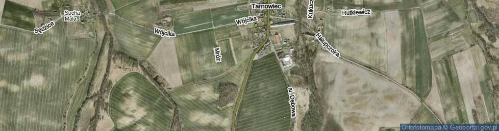 Zdjęcie satelitarne Tarnowiec ul.