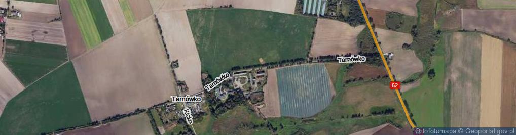 Zdjęcie satelitarne Tarnówko ul.