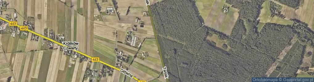 Zdjęcie satelitarne Tartak ul.