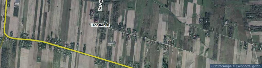 Zdjęcie satelitarne Tarło-Kolonia ul.