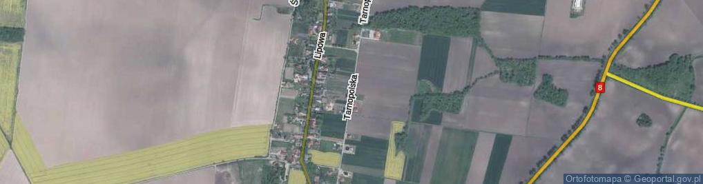 Zdjęcie satelitarne Tarnopolska ul.