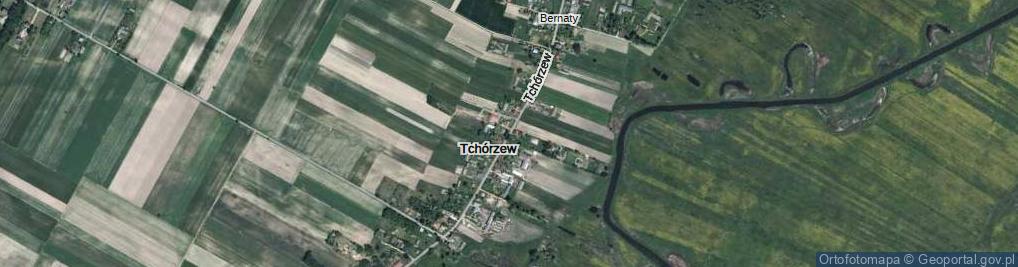 Zdjęcie satelitarne Tchórzew ul.