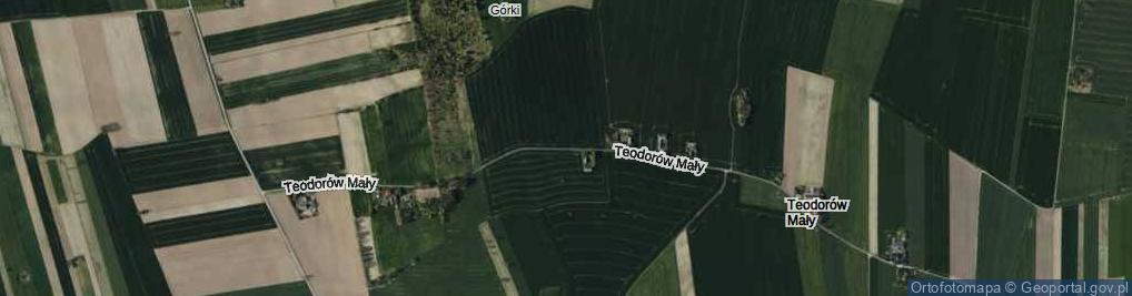 Zdjęcie satelitarne Teodorów Mały ul.