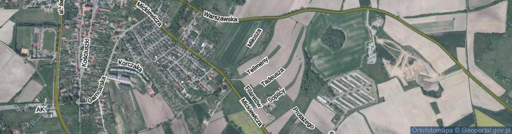 Zdjęcie satelitarne Telimeny ul.