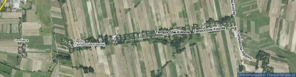 Zdjęcie satelitarne Tempoczów-Kolonia ul.