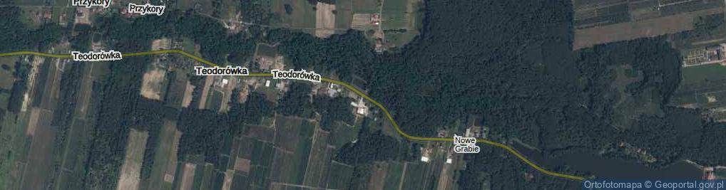 Zdjęcie satelitarne Teodorówka ul.