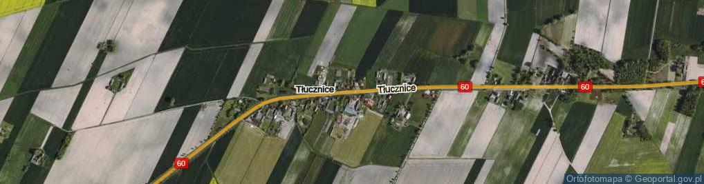 Zdjęcie satelitarne Tłucznice ul.