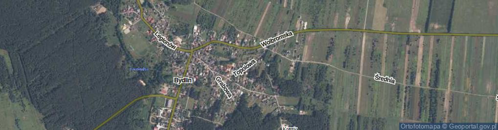 Zdjęcie satelitarne Topolowa ul.