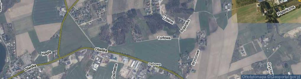 Zdjęcie satelitarne Torfowa ul.